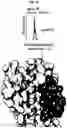 Fig. 30 - Photoreactive ligands and uses thereof