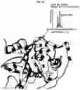 Fig. 31 - Photoreactive ligands and uses thereof