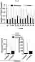 Fig. 32 - Photoreactive ligands and uses thereof