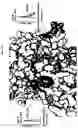 Fig. 36 - Photoreactive ligands and uses thereof