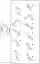 Fig. 43 - Photoreactive ligands and uses thereof