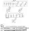 Fig. 55 - Photoreactive ligands and uses thereof