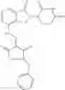 Fig. 161 - Class of isoindolone-imide ring-1,3-dione-2-ene compounds, composition and use thereof