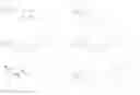 Fig. 40 - Class of isoindolone-imide ring-1,3-dione-2-ene compounds, composition and use thereof