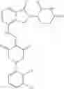 Fig. 55 - Class of isoindolone-imide ring-1,3-dione-2-ene compounds, composition and use thereof