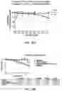 Fig. 19 - SMALL MOLECULE AGONISTS AND ANTAGONISTS OF NR2F6 ACTIVITY IN ANIMALS