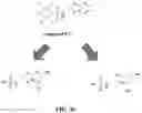 Fig. 43 - SMALL MOLECULE AGONISTS AND ANTAGONISTS OF NR2F6 ACTIVITY IN ANIMALS