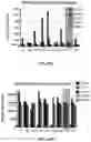 Fig. 55 - SMALL MOLECULE AGONISTS AND ANTAGONISTS OF NR2F6 ACTIVITY IN ANIMALS