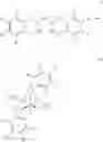 Fig. 02 - Bridged phenolate transition metal complexes, production, and uses thereof