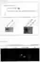 Fig. 04 - ANIMAL MODEL OF A MOOD DISORDER AND SCREENING METHOD