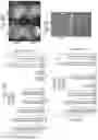Fig. 09 - IL-1RA cDNAs