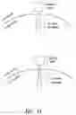 Fig. 02 - Multipartite signaling proteins and uses thereof