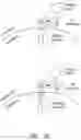 Fig. 03 - Multipartite signaling proteins and uses thereof
