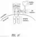 Fig. 04 - Multipartite signaling proteins and uses thereof