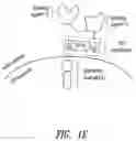 Fig. 06 - Multipartite signaling proteins and uses thereof