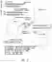 Fig. 15 - Multipartite signaling proteins and uses thereof