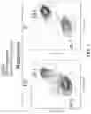 Fig. 25 - Multipartite signaling proteins and uses thereof