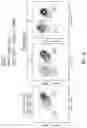 Fig. 26 - Multipartite signaling proteins and uses thereof