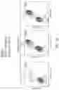 Fig. 27 - Multipartite signaling proteins and uses thereof