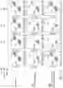Fig. 28 - Multipartite signaling proteins and uses thereof