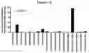 Fig. 19 - METHODS AND COMPOSITIONS FOR INHIBITING CD32B EXPRESSING CELLS