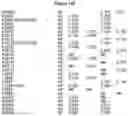 Fig. 24 - METHODS AND COMPOSITIONS FOR INHIBITING CD32B EXPRESSING CELLS