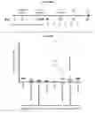 Fig. 34 - METHODS AND COMPOSITIONS FOR INHIBITING CD32B EXPRESSING CELLS