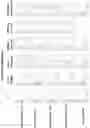 Fig. 08 - ANTIBODY CONSTRUCTS FOR CDH19 AND CD3