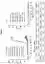 Fig. 09 - ANTIBODY CONSTRUCTS FOR CDH19 AND CD3