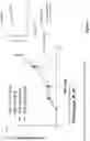 Fig. 12 - ANTIBODY CONSTRUCTS FOR CDH19 AND CD3