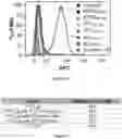 Fig. 17 - T CELL RECEPTOR LIKE ANTIBODIES