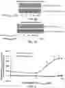 Fig. 04 - Inhibitors of prototypic galectin dimerization and uses thereof