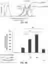 Fig. 05 - Inhibitors of prototypic galectin dimerization and uses thereof