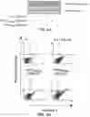 Fig. 06 - Inhibitors of prototypic galectin dimerization and uses thereof
