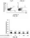 Fig. 09 - Inhibitors of prototypic galectin dimerization and uses thereof
