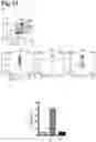 Fig. 14 - PROPHYLACTIC AGENT, ONSET-SUPPRESSING AGENT OR THERAPEUTIC AGENT FOR PROGRESSIVE IMMUNE DEMYELINATING DISEASES