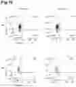 Fig. 17 - PROPHYLACTIC AGENT, ONSET-SUPPRESSING AGENT OR THERAPEUTIC AGENT FOR PROGRESSIVE IMMUNE DEMYELINATING DISEASES