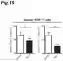 Fig. 20 - PROPHYLACTIC AGENT, ONSET-SUPPRESSING AGENT OR THERAPEUTIC AGENT FOR PROGRESSIVE IMMUNE DEMYELINATING DISEASES