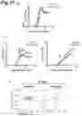 Fig. 32 - PROPHYLACTIC AGENT, ONSET-SUPPRESSING AGENT OR THERAPEUTIC AGENT FOR PROGRESSIVE IMMUNE DEMYELINATING DISEASES