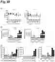 Fig. 37 - PROPHYLACTIC AGENT, ONSET-SUPPRESSING AGENT OR THERAPEUTIC AGENT FOR PROGRESSIVE IMMUNE DEMYELINATING DISEASES
