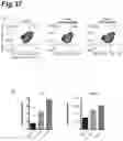 Fig. 38 - PROPHYLACTIC AGENT, ONSET-SUPPRESSING AGENT OR THERAPEUTIC AGENT FOR PROGRESSIVE IMMUNE DEMYELINATING DISEASES