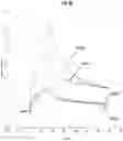 Fig. 11 - Antibodies that bind to OX40 and their uses
