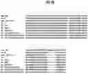 Fig. 13 - Antibodies that bind to OX40 and their uses