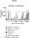 Fig. 17 - Antibodies that bind to OX40 and their uses