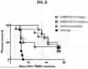Fig. 19 - Antibodies that bind to OX40 and their uses