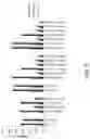Fig. 07 - ANTIBODIES TO CD40 WITH ENHANCED AGONIST ACTIVITY