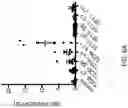 Fig. 08 - ANTIBODIES TO CD40 WITH ENHANCED AGONIST ACTIVITY