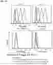 Fig. 03 - Antibody variable domains and antibody constructs
