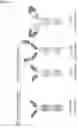 Fig. 05 - Antibody variable domains and antibody constructs