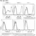 Fig. 10 - Antibody variable domains and antibody constructs